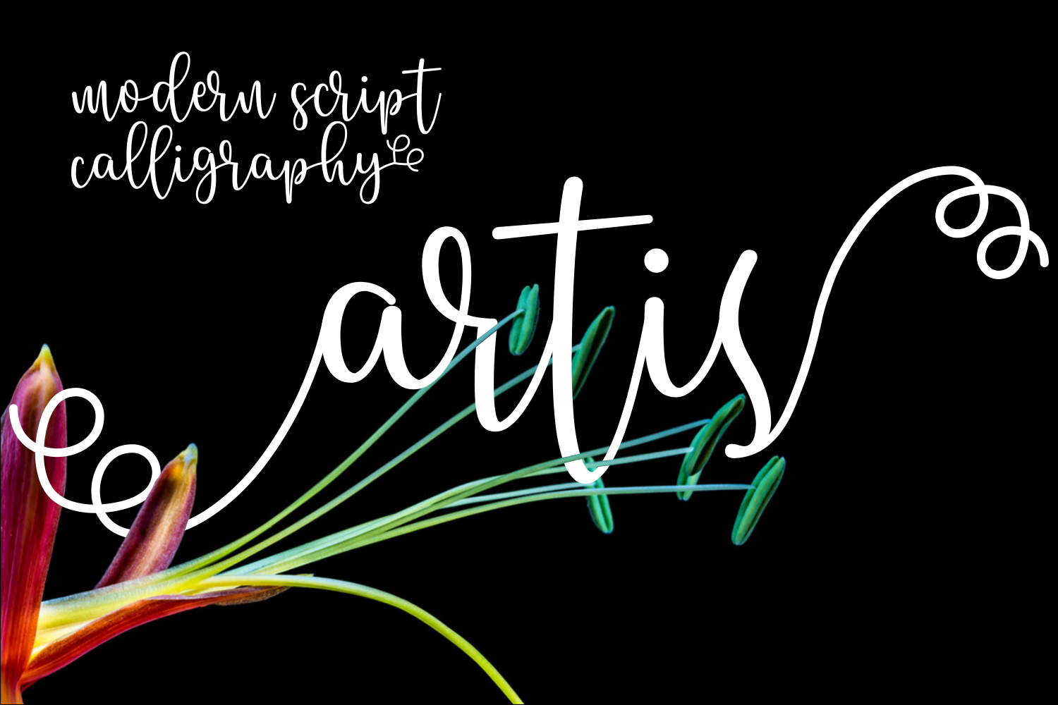Artis: The Soft Script Handwritten Font for Editorial Design
