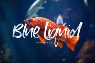 Blue Liquid Typeface: Elevating Handmade Brand Identity