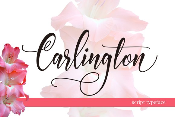Carlington: The Modern Script Typeface for Handmade Brands