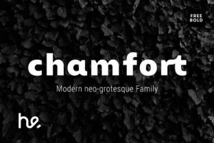 Chamfort Typeface Review: Elevating Small Business Branding