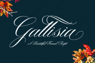 Gallisia Script Font for Elegant Branding