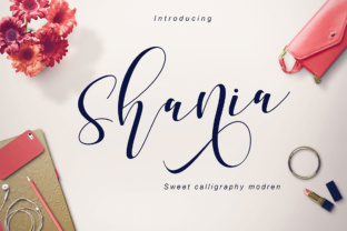 Shania Typeface Review: Elevating Small Business Brand Identity