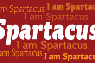 Spartacus Family Typeface Review for Handmade Branding