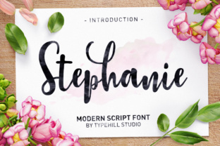 Stephanie Script Review: Elevating Campaign Visuals With Modern Typography