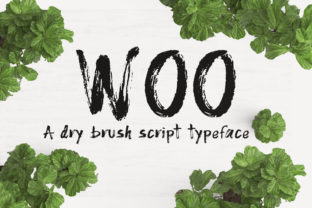 Woo: A Dry Brush Handwriting Script for Authentic Brand Identity